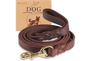 QUMY Leather Dog Leash 6ft, Heavy Duty Dog Training Leash for Large and Medium Dogs, Soft and Strong Genuine Leather Braided Handmade Long Lead Leash for Dog Training, Brown