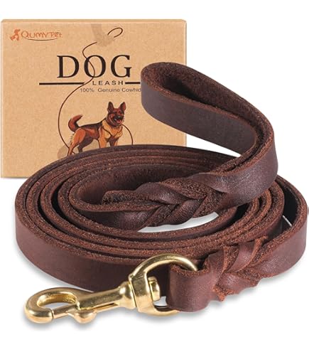 Amazon.com : Genuine Leather Dog Training Leash - Heavy Duty
