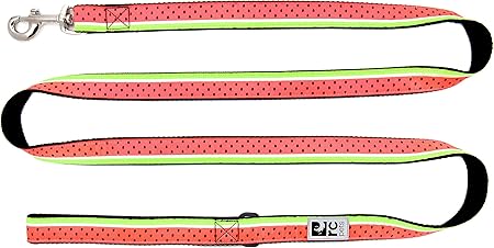 rc pets watermelon collar