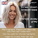 Smart Beauty Platinum Blonde Hair Dye with Plex Conditioner - Vegan Cruelty-Free view 2