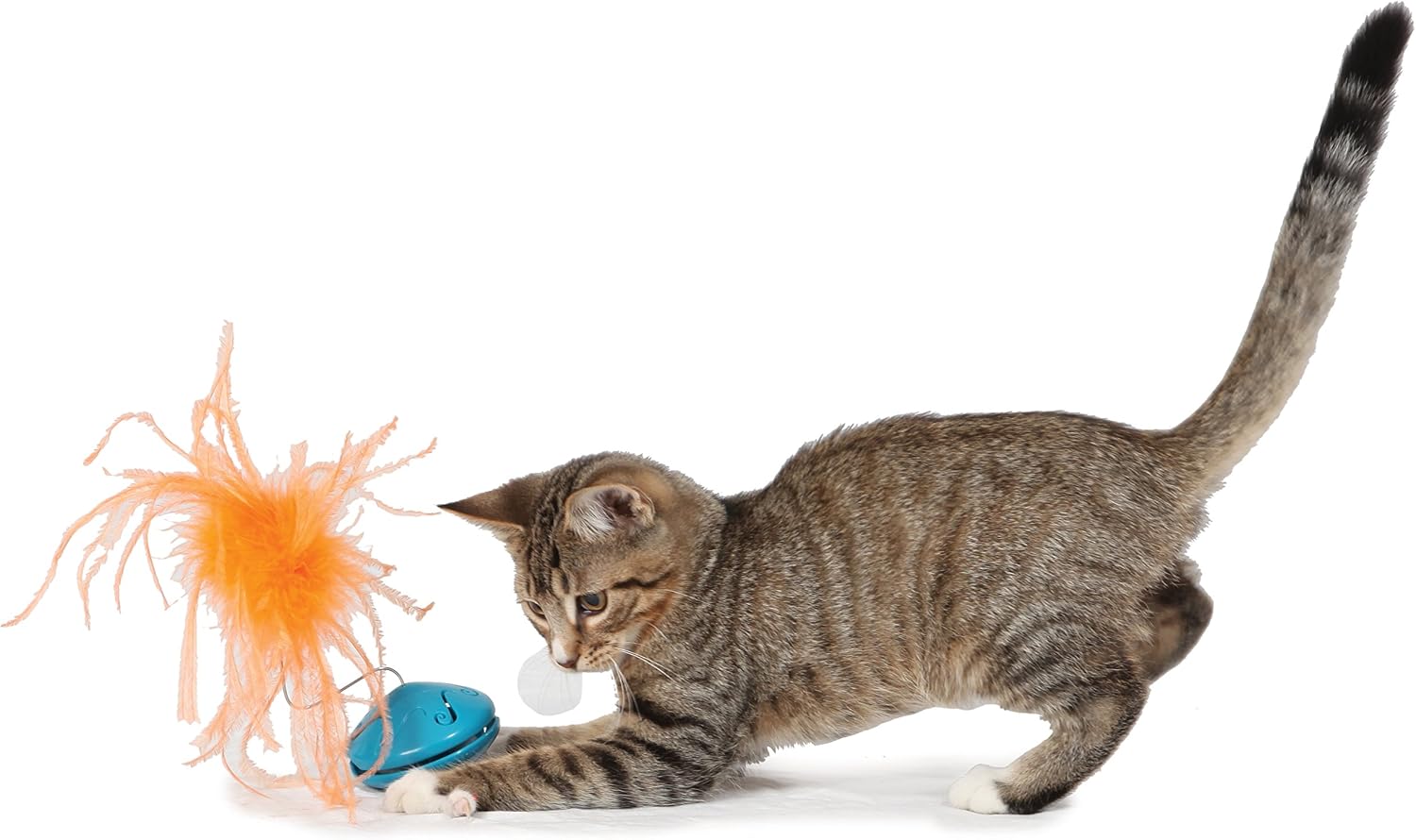 PetSafe Funkitty Twist and Treat Cat Teaser, blue - Image 3
