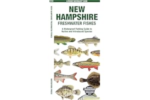 New Hampshire Freshwater Fishes