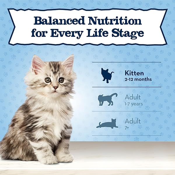 BLUE BUFFALO BABY BLUE NATURAL GRAIN-FREE DRY FOOD FOR KITTENS, HEALTHY GROWTH FORMULA WITH DHA, HIGH-PROTEIN SAVORY CHICKEN RECIPE, 4.5-LB. BAG