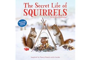 Secret Life of Squirrels Mini Wall Calendar 2026
