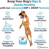 NutriPaw Joint & Hip Treats for Dogs - 120 Duck Flavoured Chews view 5