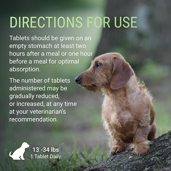 NUTRAMAX LABORATORIES DENOSYL FOR DOGS, LIVER AND BRAIN HEALTH SUPPLEMENT FOR MEDIUM DOGS, WITH S-ADENOSYLMETHIONINE (SAME), STABILIZED TABLETS, 30 COUNT