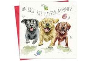 Twizler Easter Card - Labrador Dogs - Funny Happy Easter Card