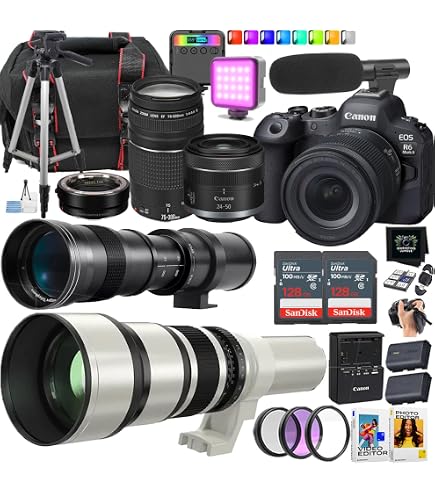 Amazon.com : Canon EOS R6 Mark II Mirrorless Camera with RF 24