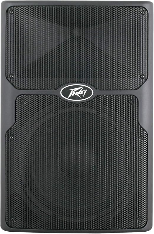 peavey pvx 12