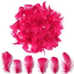 300pcs Wine Red Feathers 2-3 Inches Bulk Feathers