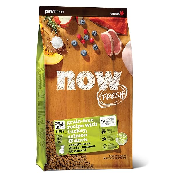 NOW FRESH GRAIN-FREE SMALL BREED DRY PUPPY FOOD...
