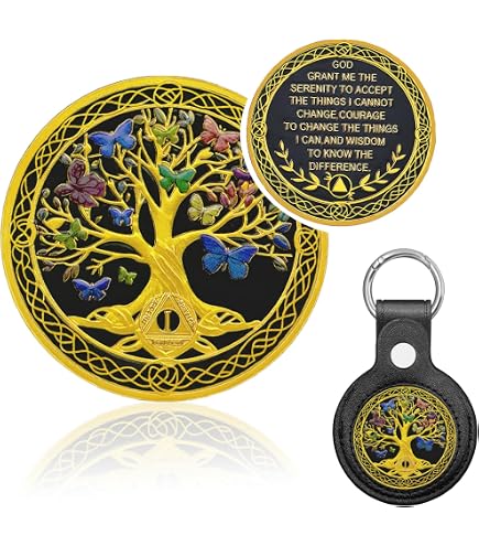 Pièce De Sobriété 5 Ans Pour Femme - Papillon Coloré, En Fer Plaqué Argent, Diamètre 3,5 Cm (cadeau AA/NA, Récupération)