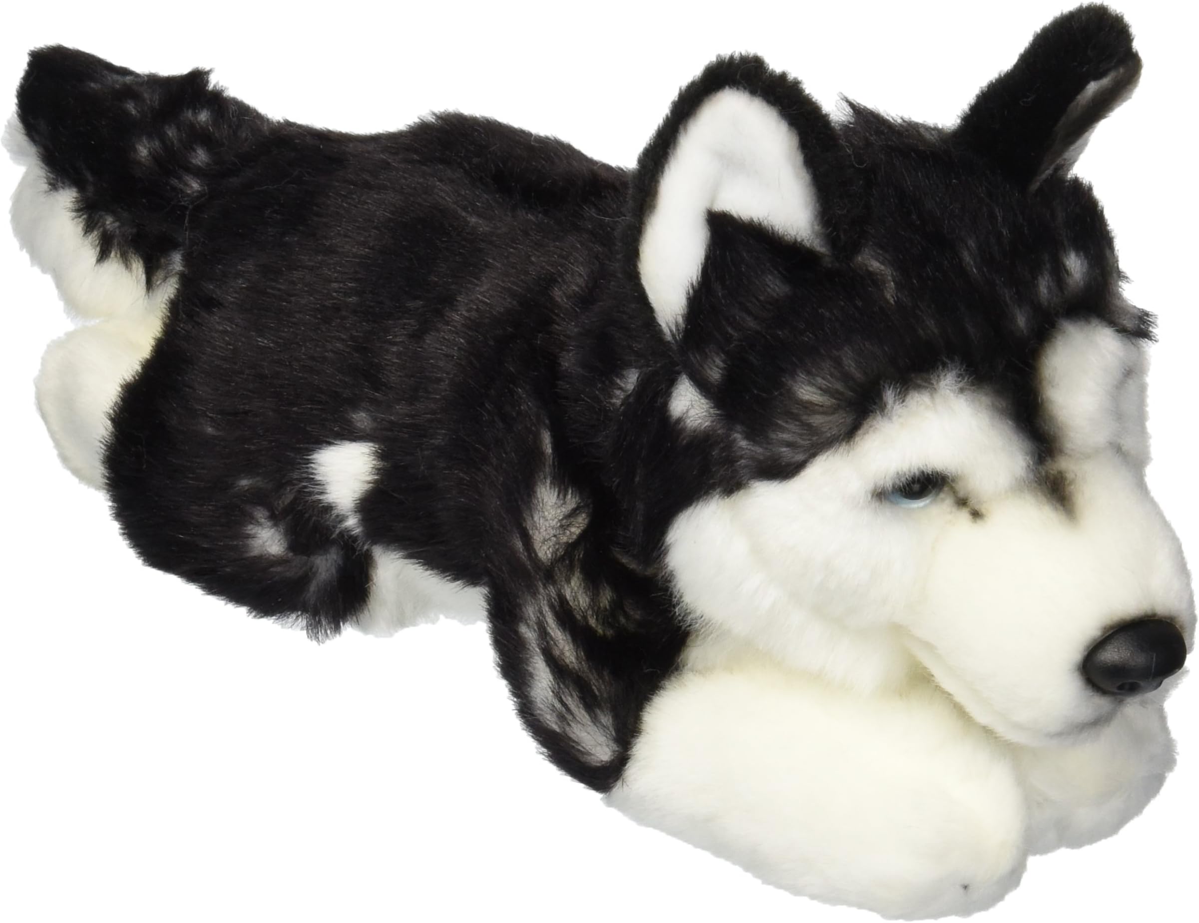 Alaska Baby Soft Quality Husky Dog Blue Eyes for Baby 10" Plush