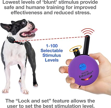 tens collar for dogs
