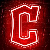 Baseball Neon Sign for Wall Decor Baseball Neon Light for Man Cave Dimmable Team Led Light Up Sign for Bedroom Bar Party Dorm Birthday Gifts for Fans 5V USB Powered Size 14.5 * 9.8In(ZYLD142)