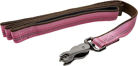 manx cat for sale near me