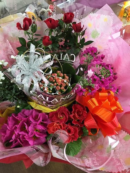 Amazon Co Jp 花ギフト 花プレゼント 花の鉢植えアレンジ いろいろなお祝い花として 季節の鉢花をかごに寄せてアレンジし 切花より長 く咲きます ホーム キッチン
