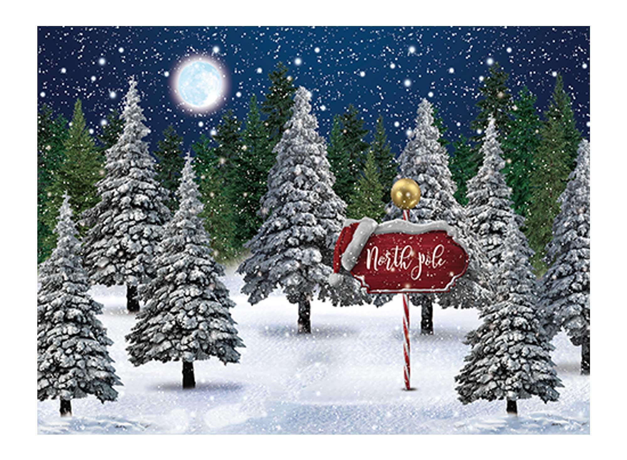 Photo 1 of Allenjoy Winter Snowing Night Landscape Forest Backdrop Christmas Wonderland North Pole Moon Snowflake Snow Scene Pine Kids Newborn Photo Booth Props Baby Shower 8x6ft Photography Background