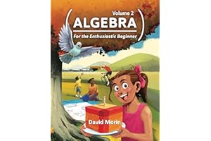 Algebra: For the Enthusiastic Beginner, Volume 2
