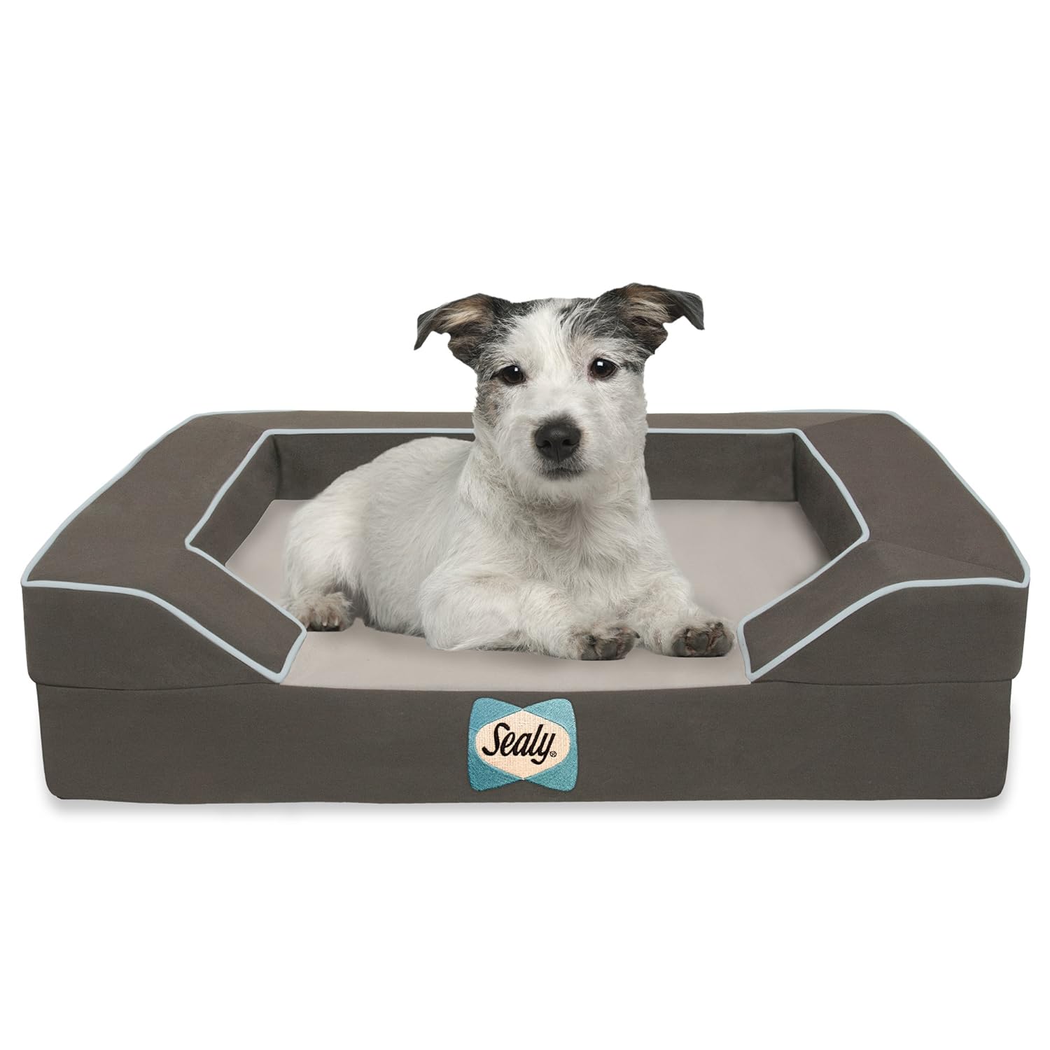 Sealy Dog Bed with Quad Layer Technology, Small, Modern
