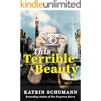 This Terrible Beauty: A Novel book cover