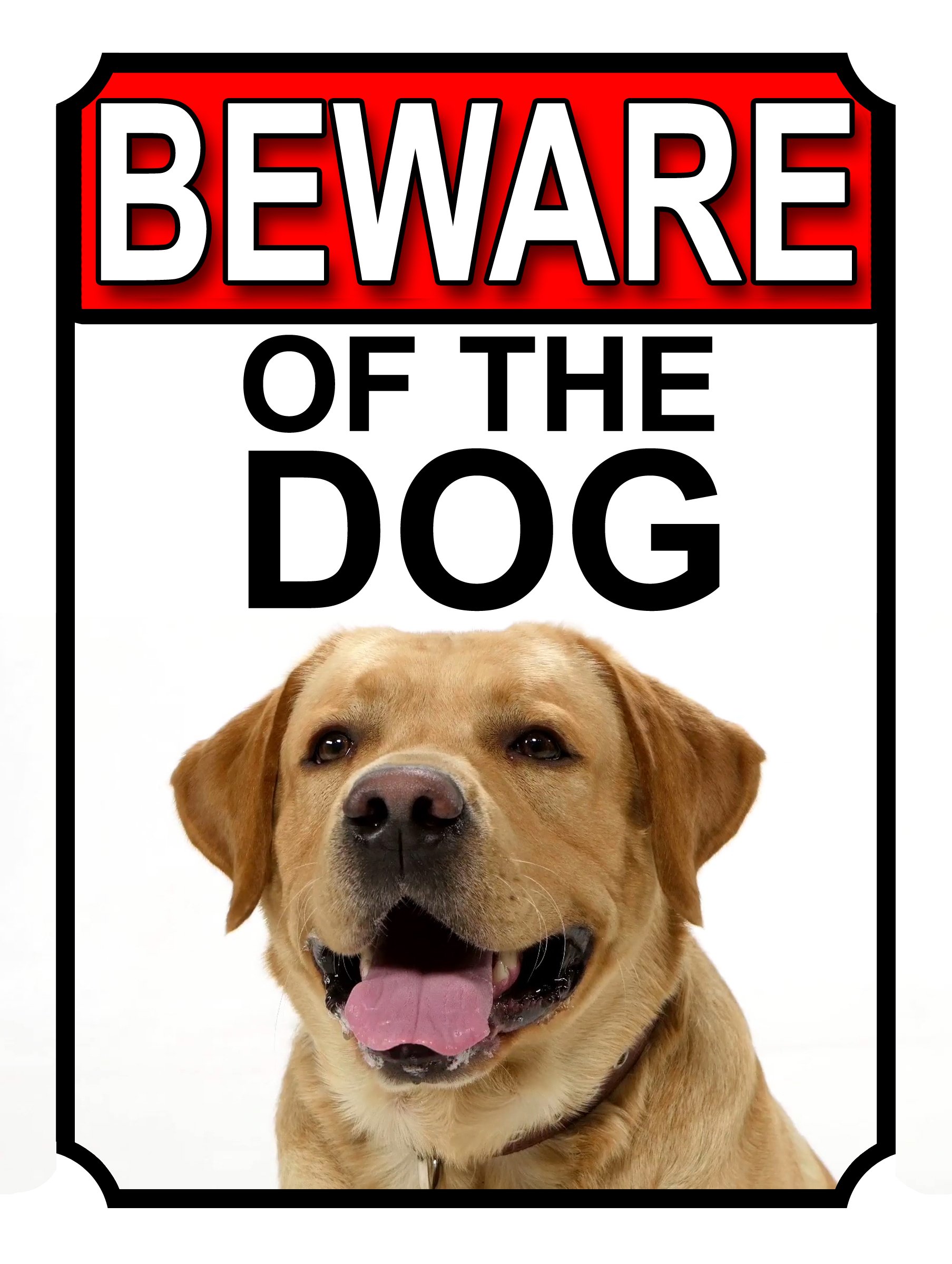 BEWARE OF THE DOG METAL GATE SIGN YELLOW LABRADOR 200MM X 150MM (1163H1)