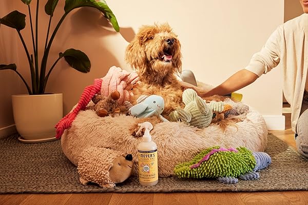 MRS. MEYER’S CLEAN DAY PET ODOR NEUTRALIZER, ORANGE BLOSSOM SCENT, 16OZ