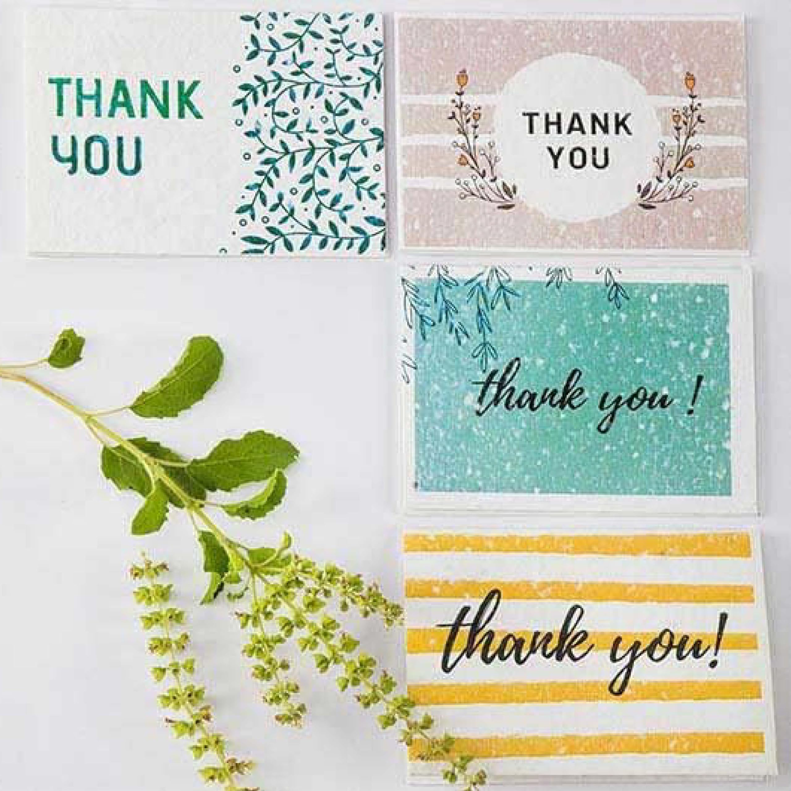 GoGiftid Thank You Cards Set of 12 Eco-Friendly Plantable Basil Seed Paper Cards with Envelopes Handmade Greeting Card
