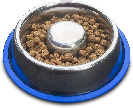 Amazon Com Wiser Pet Slow Feed Dog Bowl Anti Gulping Slow