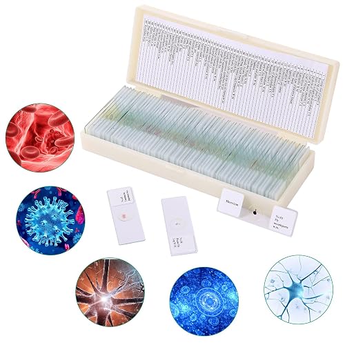 60 Pieces Prepared Microscope Slide Set with Specimens, Plant Animal ...