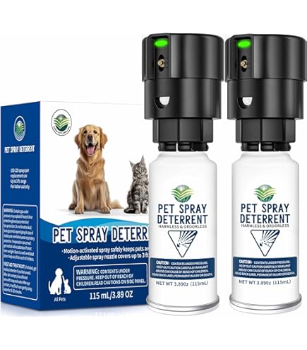 Compressed Air Ssscat Amazon Compressed Air Can SSSCAT Pet