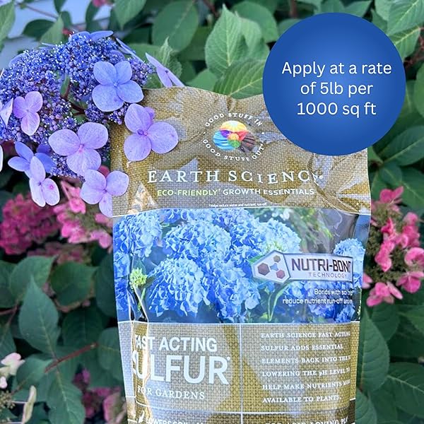 EARTH SCIENCE FAST ACTING SULFUR GRANULES – 5LB – REDUCES SOIL PH AND NUTRIENT RUNOFF, IMPROVES GROWTH & COLOR FOR ACID-LOVING PLANTS, LONG-LASTING LAWN CARE SUPPLEMENT