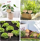 KINGLAKE 30 Pcs Bamboo Plant Labels with Marker Pen 10 x 6 cm T-Type view 6