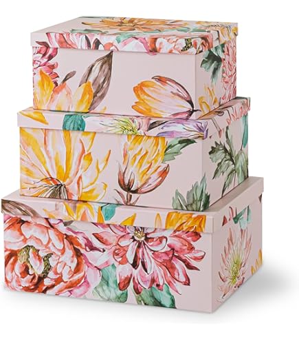 はらぺこ brunt open box Barista Basics Knockbox Open Bottom (6