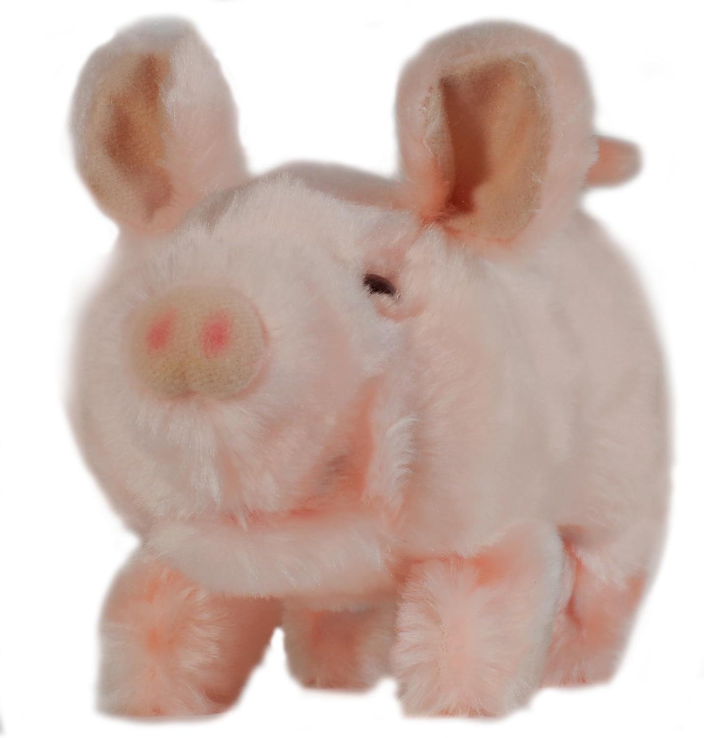 walking oinking pig toy