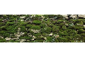 BannersNStands Aquarium Terrarium Backgrounds Main (Rock Wall with Moss, 48”L x 18”H)
