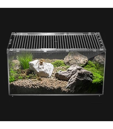 Terrarium En Acrylique Transparent Pour Reptiles - Cage Ventilée Pour Gecko, Serpent, Dragon Barbu - Facile à Nettoyer