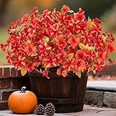 8 Bundles Fake Fall Flowers Artificial Plants for Outdoor Decorations, Faux Fall Petunias Flowers for Outside UV Resistant Realistic Planters for Garden Porch Patio Indoor Autumn Decor(Orange Red)