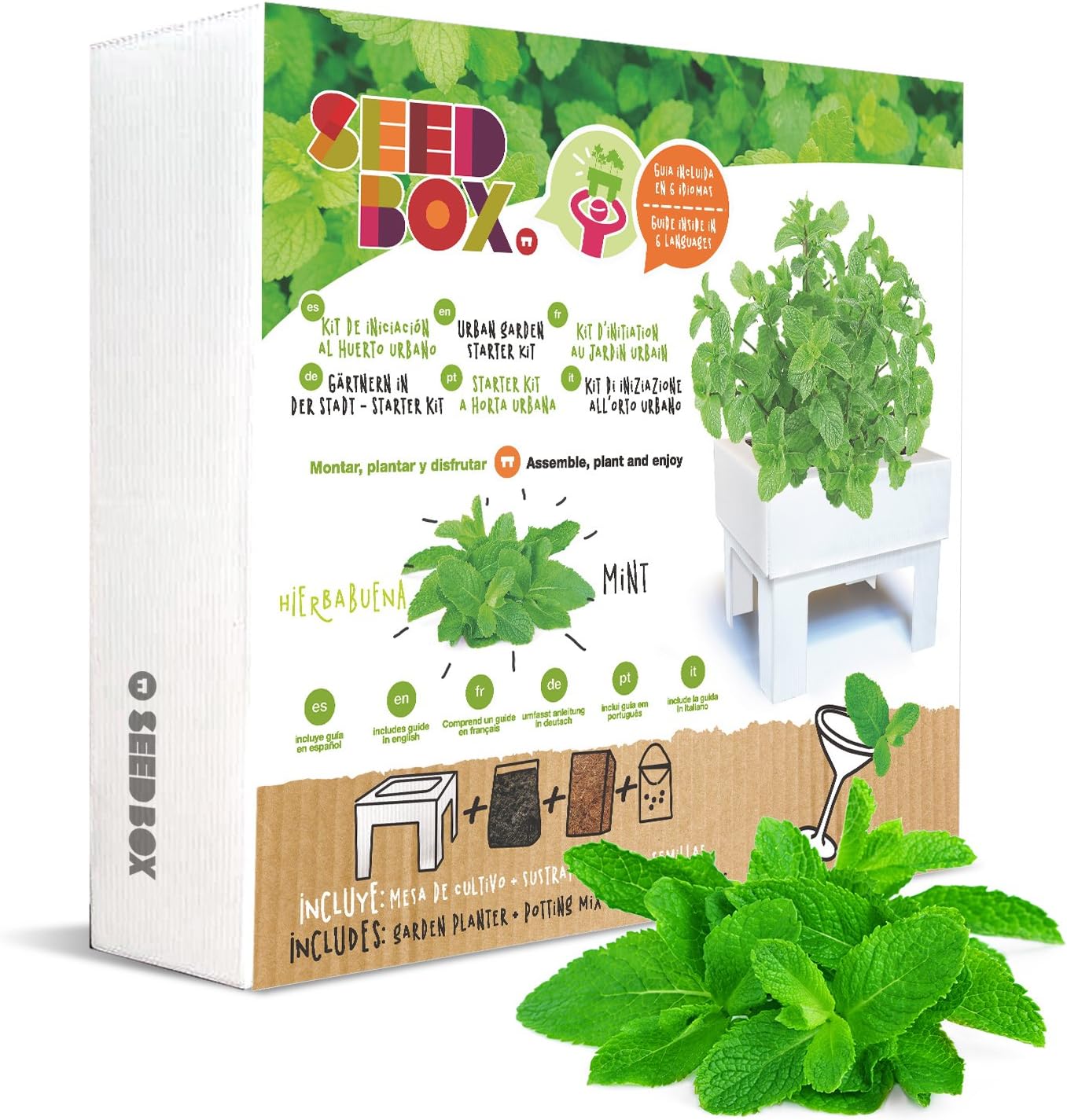 SeedBox SBMCUHB Huerto Urbano Cultívame Mini - Hierba Buena ...