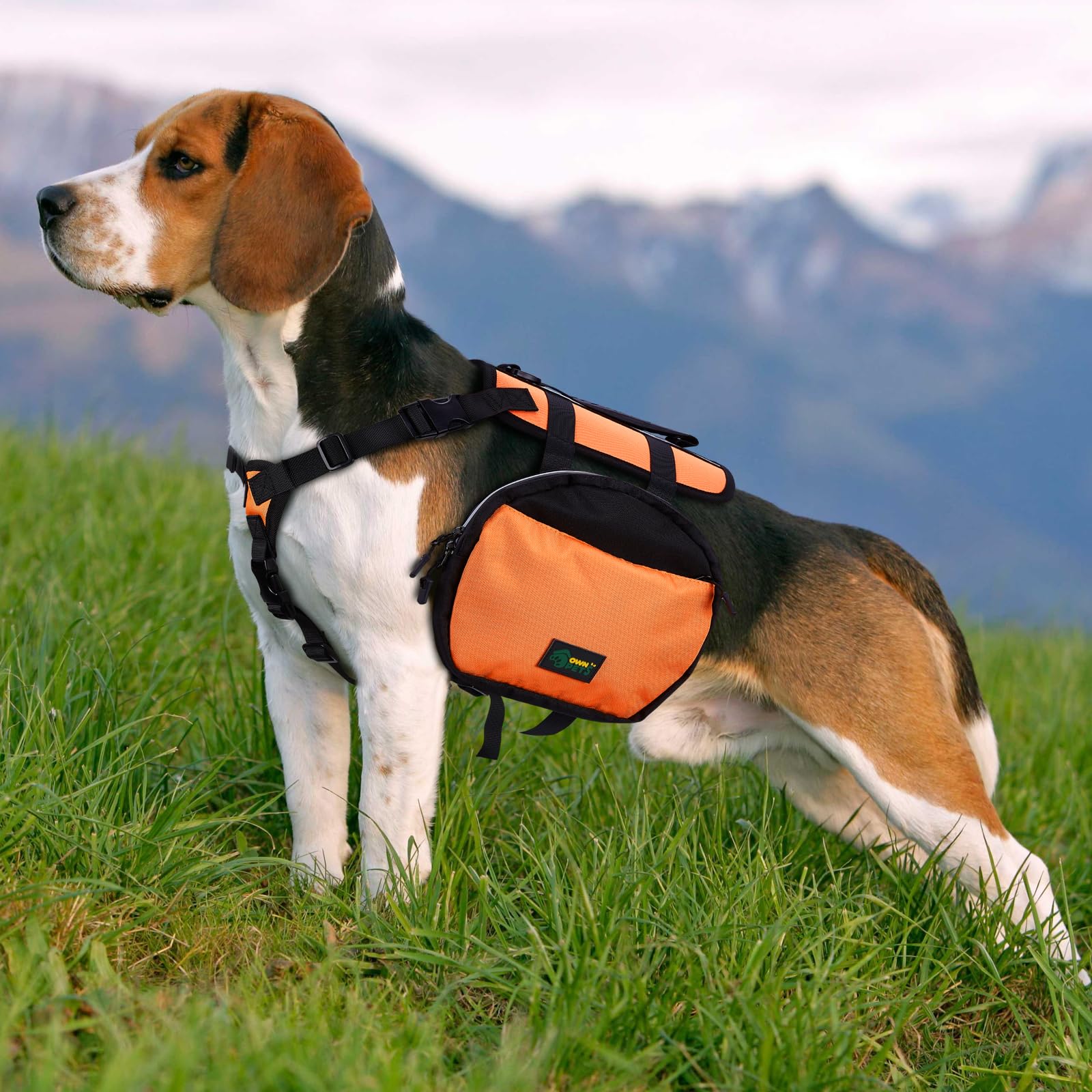 Ownpets Dog Backpack Saddlebag with Adjustable Strap, Waterproof and Lightweight Dog Saddle Bag Harness, Dog Pack Hound for Camping, Traveling and Hiking, M size