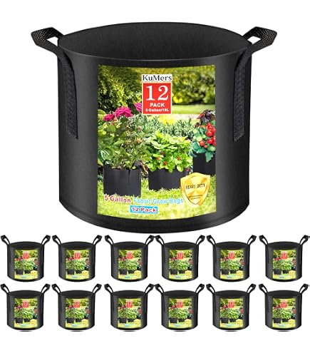 8-Quart Digital Air Fryer