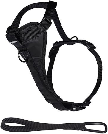 AmazonBasics - Hundegeschirr