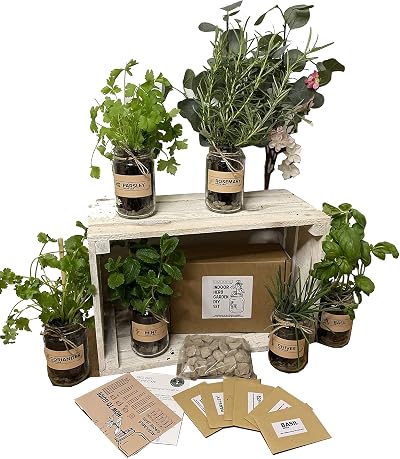 Love Rustic Set of 3 Indoor Herb Garden Jars Mint Basil Coriander Kit