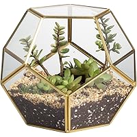 NCYP Small Gold Geometric Terrarium Planter - 17.5x17.5x15 cm - Ball Shape Glass Terrarium for Succulent Plants, Handmade, Ho
