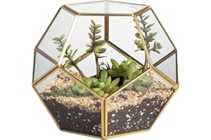 NCYP Glass Terrarium for Small Cactus, Succulents - Gold Geometric Planter Pot, Home Office Tabletop Miniature Garden Decor, 6.89 x 6.89 x 5.9 Inches, Handmade (No Plants, No Door)
