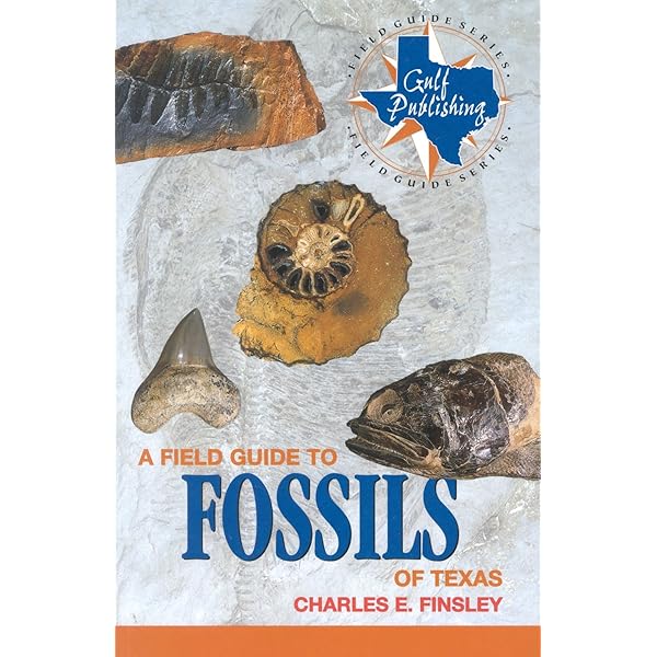 FOSSILS　THE KEY TO THE PAST　化石　FOSSIL Fossils: The Key to the Past: Richard Fortey: 9780565093754