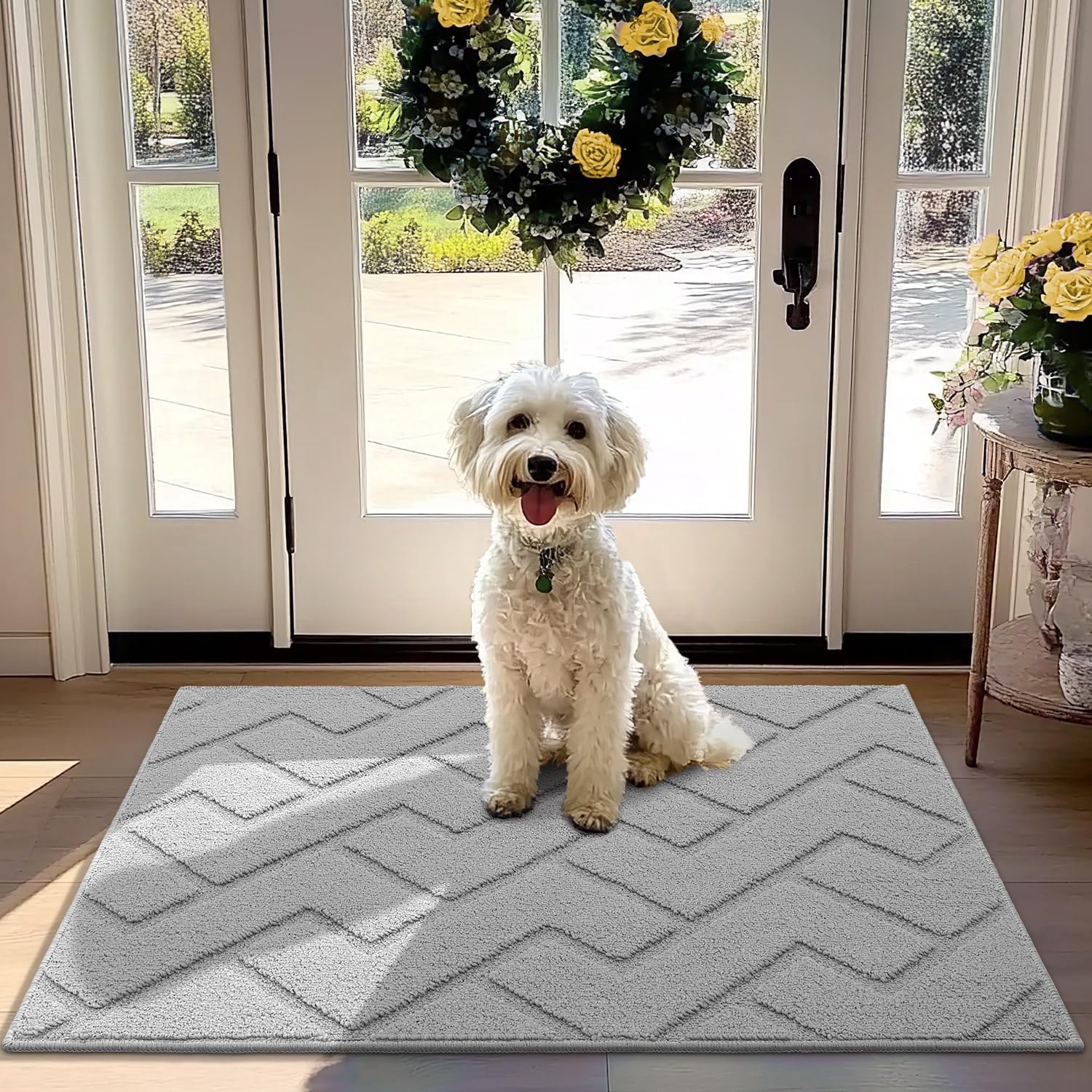 Biscpro Door Mat, 80x100cm DoorMat Indoor Washable, Doormat Indoor Dirt Trapper Non-slip,Absorbent Inside Entrance Rug Mat for Entryway,Patio,Garden,Laundry Room,Pets - Light Grey
