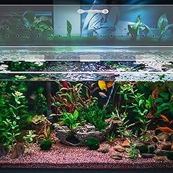 Sieral Aquarium Polycarbonate Canopy Set 15.37 x
