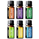 Pure Body Natural Essential Oils Set, 100% Pure Aromatherapy Diffuser Oils, Sample Kit for Beginners, Lavender, Tea Tree, Eucalyptus, Lemongrass, Orange, Peppermint - 10 Milliliter (6 Count)