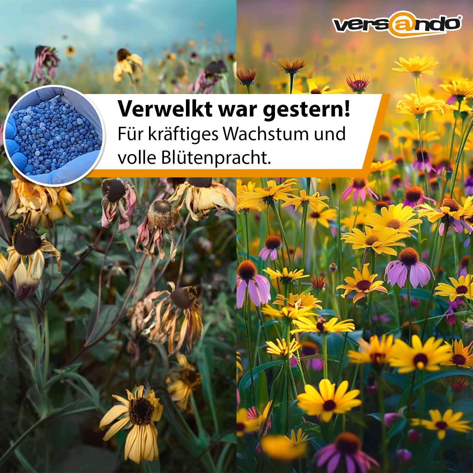 versando 10kg bis 150m² Blaudünger: NPK-Dünger für Obst Gemüse & kräftige Pflanzen mit Langzeitwirkung - Premium Qualität 2